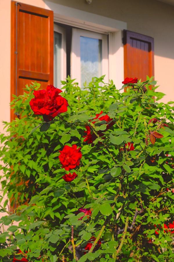 Aria Di Casa B&B Cantu Exterior photo